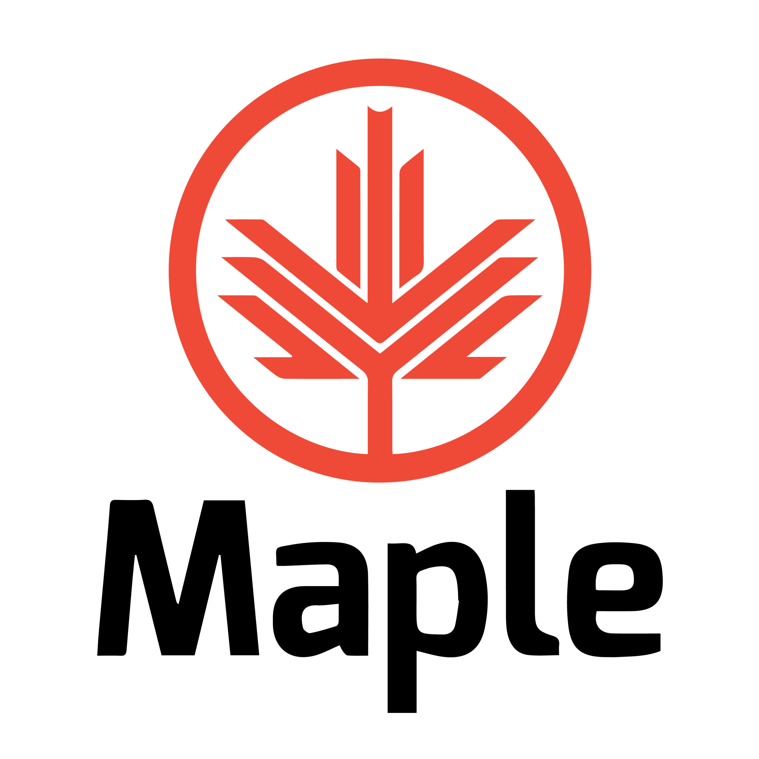 Maple